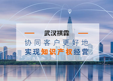 武汉祺霖科技咨询服务有限公司